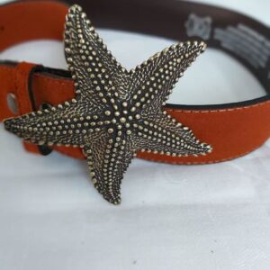 Hebilla Estrella
